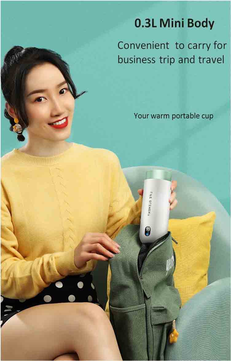 0.3L mini body