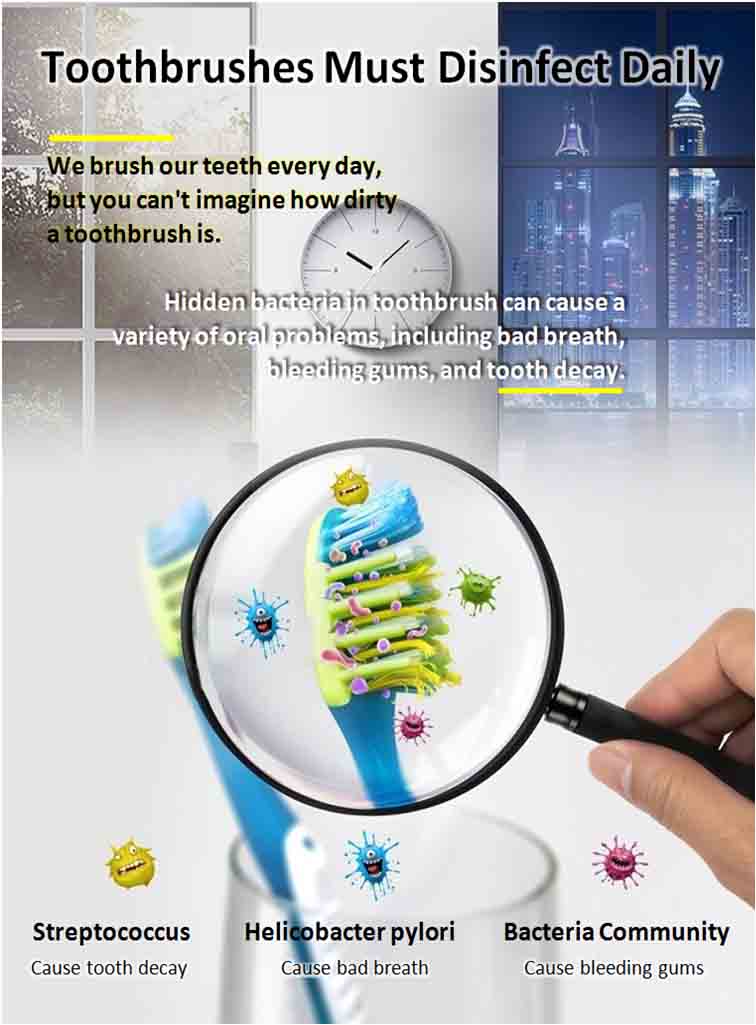 toothbrush must disinfect daily